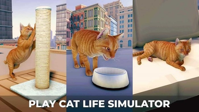 èռǴϷ(cat simulator) v1.1 ׿0