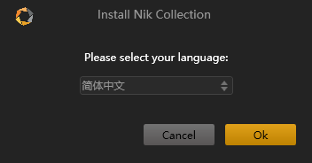 nik collectionװ̳