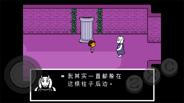 ֮淨