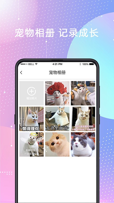 èSpeakerapp v4.51.2024001128 ׿2