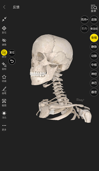 3dbodyappʹý̳