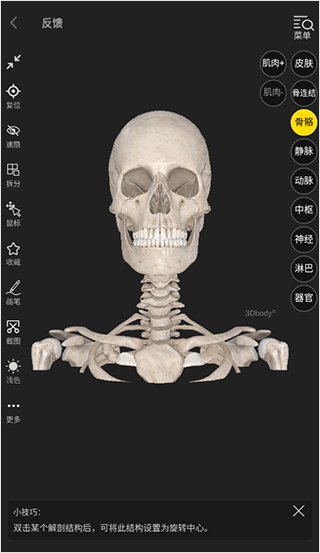 3dbodyappʹý̳