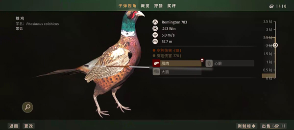 ֮Ұ淨