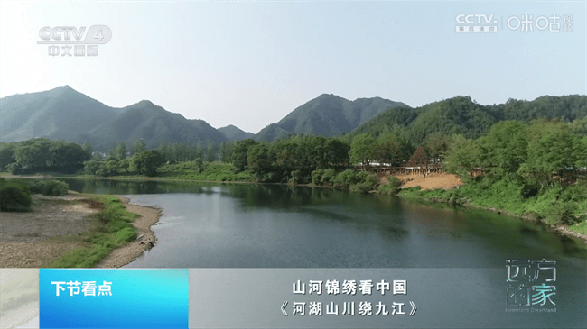 ֱtvֱ v4.0.4 ׿ 0
