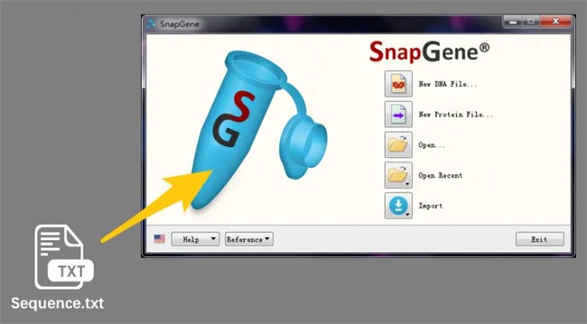 snapgeneôȶ