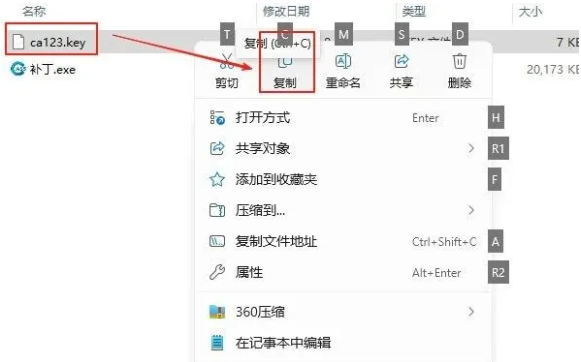 Ϸcass11ƽ氲װ̳