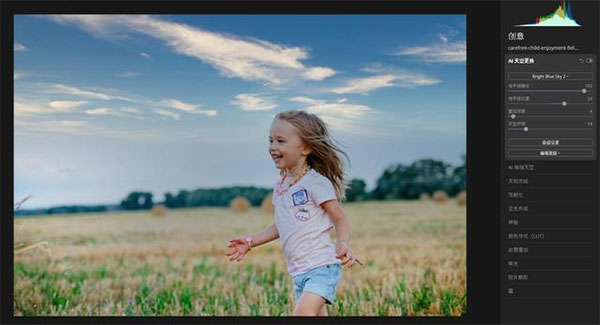 luminar aiʹý̳