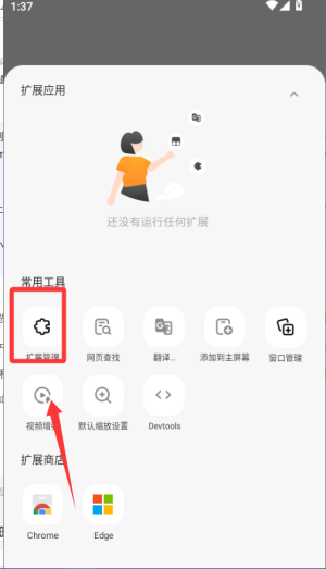 g[app(lemur browser)