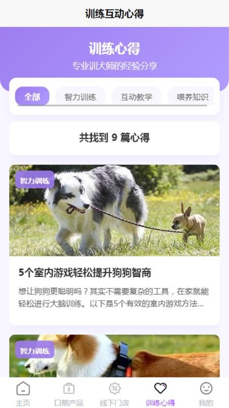 WONKA Online v1.0 最新版 0