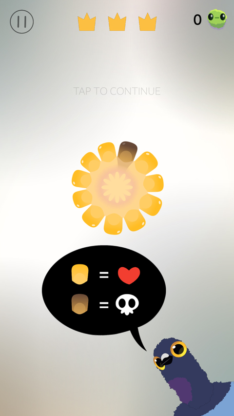 瘋狂的鴿子(pigeon pop) v22 1