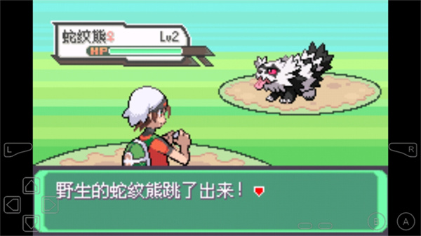 口袋妖怪究極綠寶石5.5許愿盒加強版 v5.5 安卓版 4