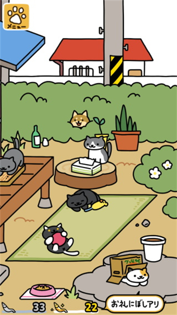 猫咪后院2最新版 v2.20.0 安卓版 1